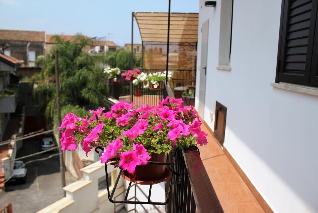 Tortugas B&B Giarre Εξωτερικό φωτογραφία